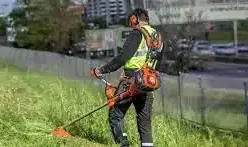 los-mejores-los-mejores